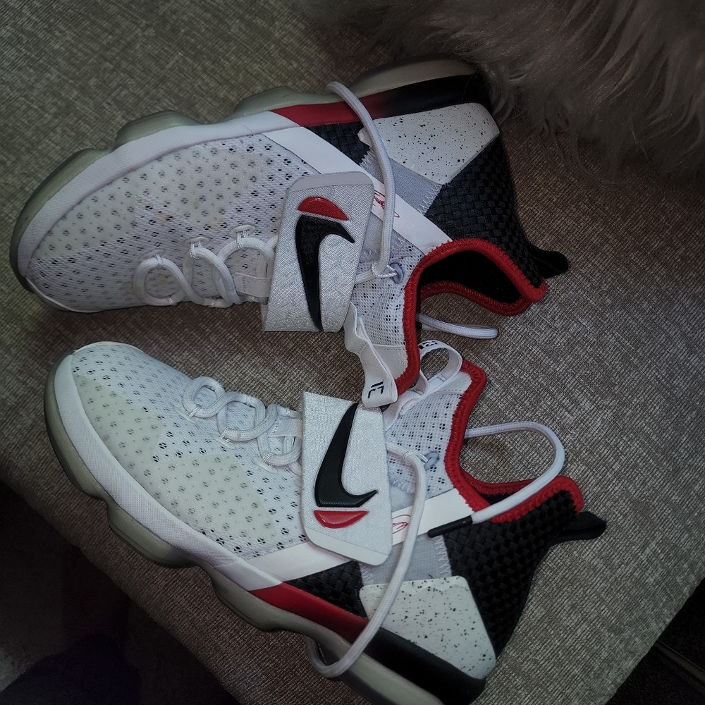 Lebrons - Picture 2 of 2